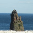 천일민박 이미지