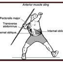 (일단 완성) 입동이 필독; 오늘의 잡담-2)입동이 조각맞추기-11; 신체 역학의 정수7 Posterior Oblique Sling 이미지