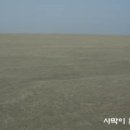 친환경개발