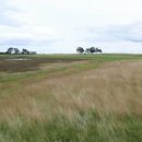 차와 함께 세계여행 이미지