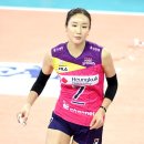 핑크 스파이더 이미지