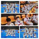 고려 태권도 체육관 이미지