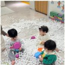 꽃피우다