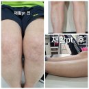 한울 태권도 아카데미 네이버블로그