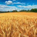 원주중앙요양원 이미지