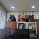 우창 검도관 이미지