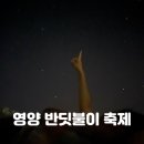 반딧불이의 기억 | 영양 별빛 반딧불이 축제 후기 + 2025 일정 안내 - 주차장 먹거리