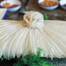 독도참가자미 이미지