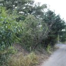 3.1운동 기념비 이미지