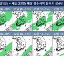 [오늘의 날씨] 남부지방 중심 150mm 이상 강한 비…전남·경남 돌풍·번개 동반, 수도권 5~10mm 이미지