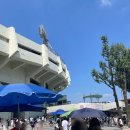 처음 간 야구장, 잠실에서 본 롯데 자이언츠⚾ (2024.9.1 직관 후기)