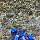 하북농업협동조합 하나로마트 이미지