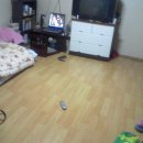 경안동-2 이미지