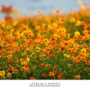 흥성마을 이미지