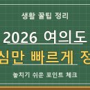 2026 여의도 한강수영장 야간개장! 🌙 막바지 여름밤 완벽 가이드 (입장료, 주차, 준비물 총정리) 이미지