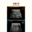 한마음종합동물병원 이미지