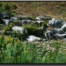 천북중학교 이미지