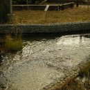 안산 식물원 이미지