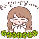 거제비타민씨 이미지