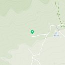 오렌지꽃향기는바람에날리고민박 이미지