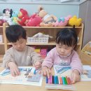 안전교육 🚨🚨승강기와 에스컬레이터를 탈 때 조심해요🚨🚨 이미지