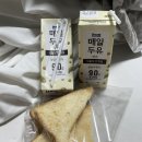 송정마을회관 | [2025년/국토대장정] 혼자 땅끝마을까지 8일차(장성~광주)