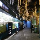 동굴생태관 화장실 이미지