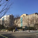 대명동산약국 | [리조트후기] 대명비발디 파크: 완벽한 시설 스키안타도 즐겁다