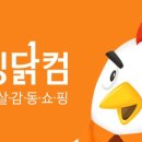 스테디컴 이미지