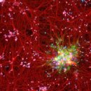 (주)이온소프트 이미지