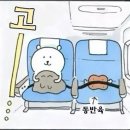 지혜생선마을 | 초여름엔 초록도시로 떠나야지