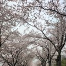 남해벚꽃길지나서 | 남해 가성비 오션뷰 숙소[벚꽃길 지나서] 202호