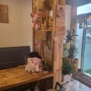 카페씨엔씨 이미지