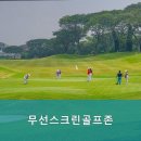 무선스크린골프존 이미지