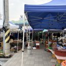 비아5일시장 (옥외1) | 엄마 따라 다녀온 광주 비아 5일장 | 장날 시장 나들이