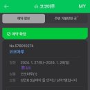 코코마루 | [여수키즈풀빌라]코코마루/아기랑 펜션 추천/내돈내산후기