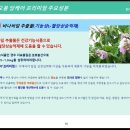 바나바잎 효능-신물질2의 재료(2) 이미지