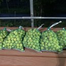 현덕농장 이미지