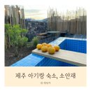 소안재 | 제주도 아기랑 숙소, 독채펜션 제주 소안재 후기