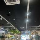 스노우폭스제주 이미지