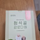 생강 홍차 [청석골 감로다원]