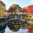 용소막마을 | 서울근교 단풍명소 충북 당일치기로 다녀온 배론성지 지금 절정