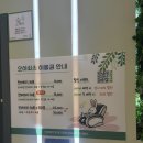 마들역 3번출구 | [마들역카페 추천] 힐링하고 가는 &#39;오아시스 노원점&#39;