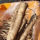 혜원농장 이미지