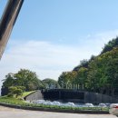 테라스힐빌딩 | 도심속 힐링공간으로 채워진 워커힐 더글라스 하우스