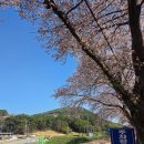손곡경로당 이미지