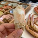 [경북/후포] 울진 후포항 대게맛집, 대게앤쿡 내돈내산 후기