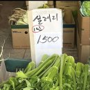 오늘도행복한스푼 네이버블로그