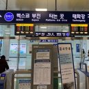 오시리아역(1) 이미지