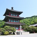 풍요랑 이미지